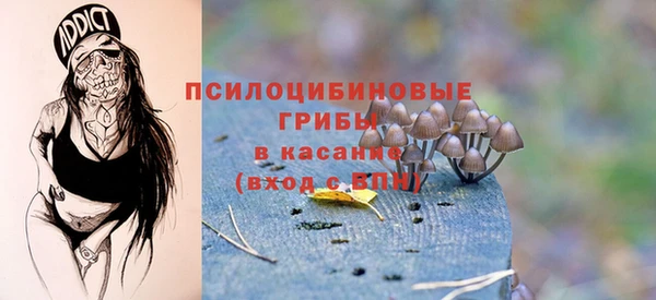 скорость Алзамай