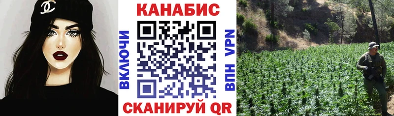 гидра ONION Старая Купавна Бошки Шишки семена